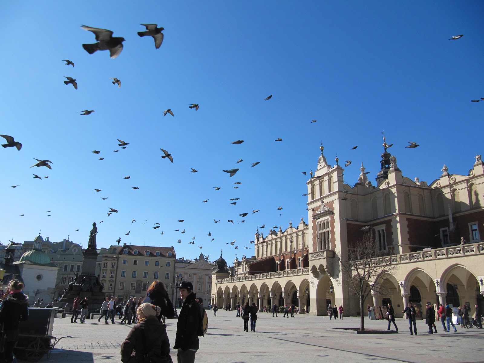 rencontre femme cracovie